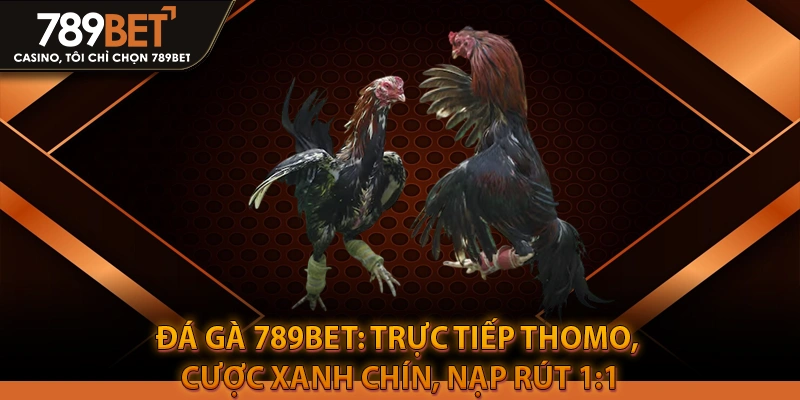 Đá Gà 789BET: Trực Tiếp Thomo, Cược Xanh Chín, Nạp Rút 1:1